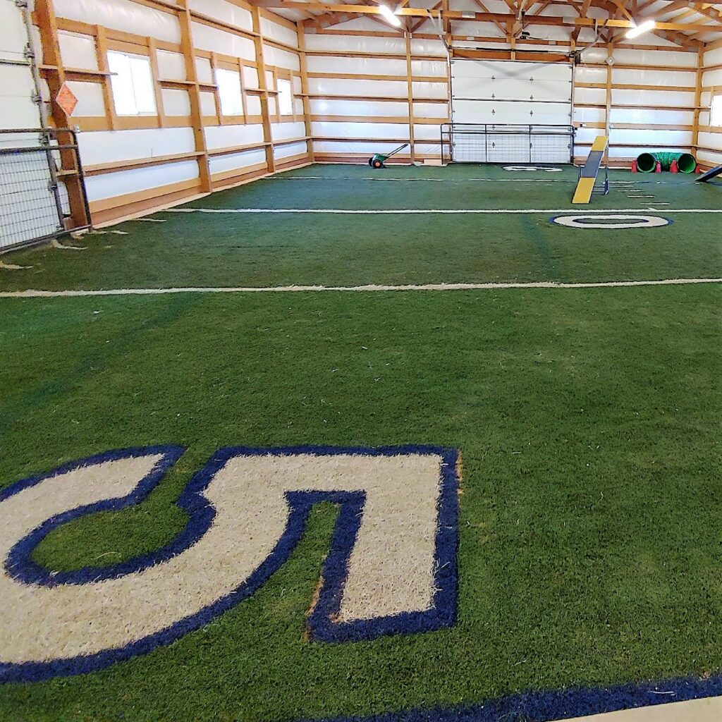 Used Artificial Turf For Sale by ReTURF Online Ordering Support