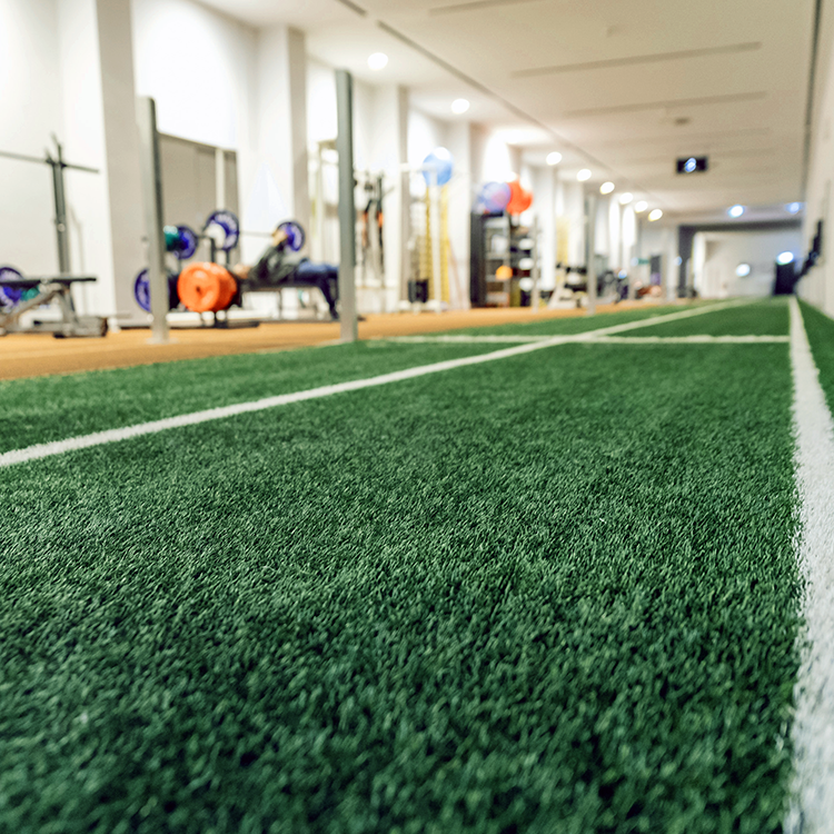 a wide angle picture of an indoor gym utilizing used artificial turf.