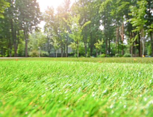 Does Artificial Grass Help With Bugs?