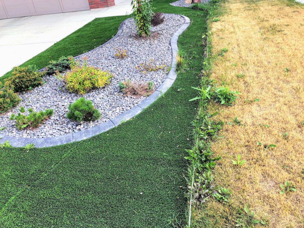 Unfix Turf Examples Returfing 101: A Guide to Using Used Artificial Turf