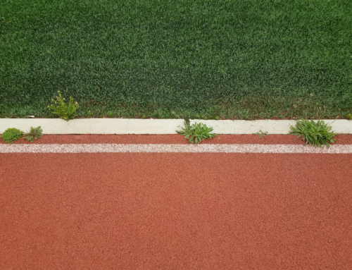 Understanding Weed Barriers in Artificial Turf Installations