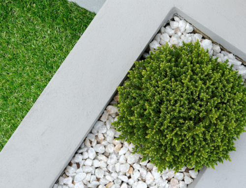Used vs Recycled Artificial Grass: What’s the Difference?