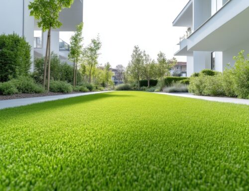 Sustainable Landscaping: How to Choose Green Materials for Your Project