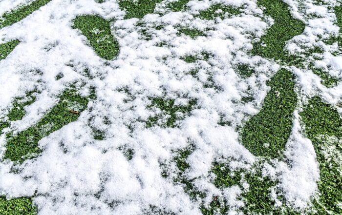 A picture of ReTurf - The Used Artificial Turf Experts