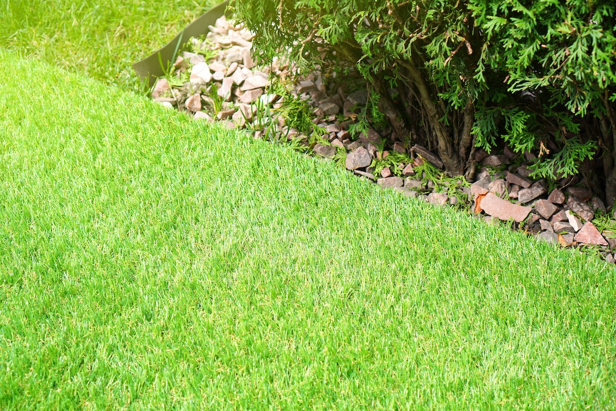 A picture of Artificial Turf for Rental Properties