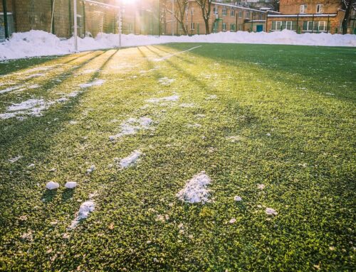 Synthetic Grass in Winter – Tips for Snow & Ice