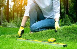 A picture of What Goes Under Artificial Turf?