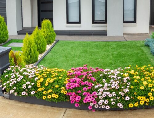 Is There Environmentally-Friendly Artificial Turf?