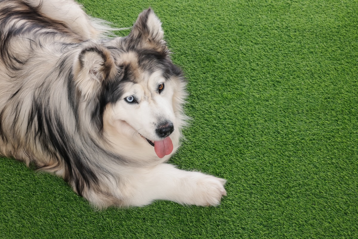 A picture of 15 Creative Ways to Use Turf Remnants In Your Backyard (And Beyond)