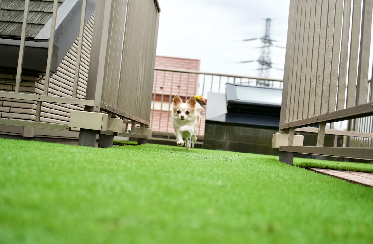 A picture of 15 Creative Ways to Use Turf Remnants In Your Backyard (And Beyond)