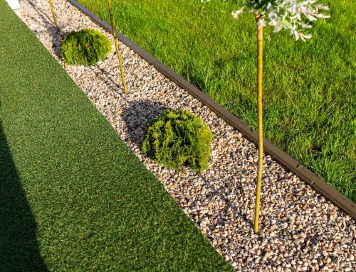 Can You Install Artificial Turf Next to Real Grass?