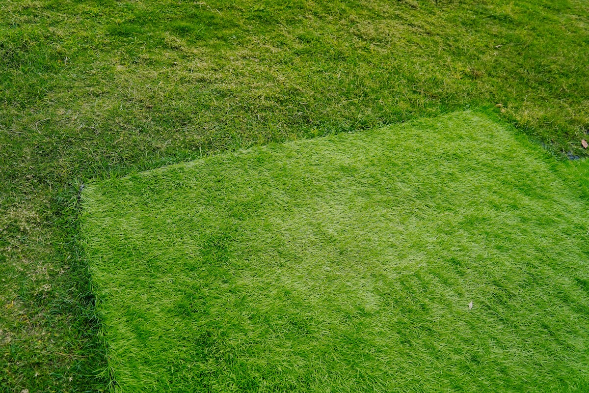 A picture of Can You Install Artificial Turf Next to Real Grass?